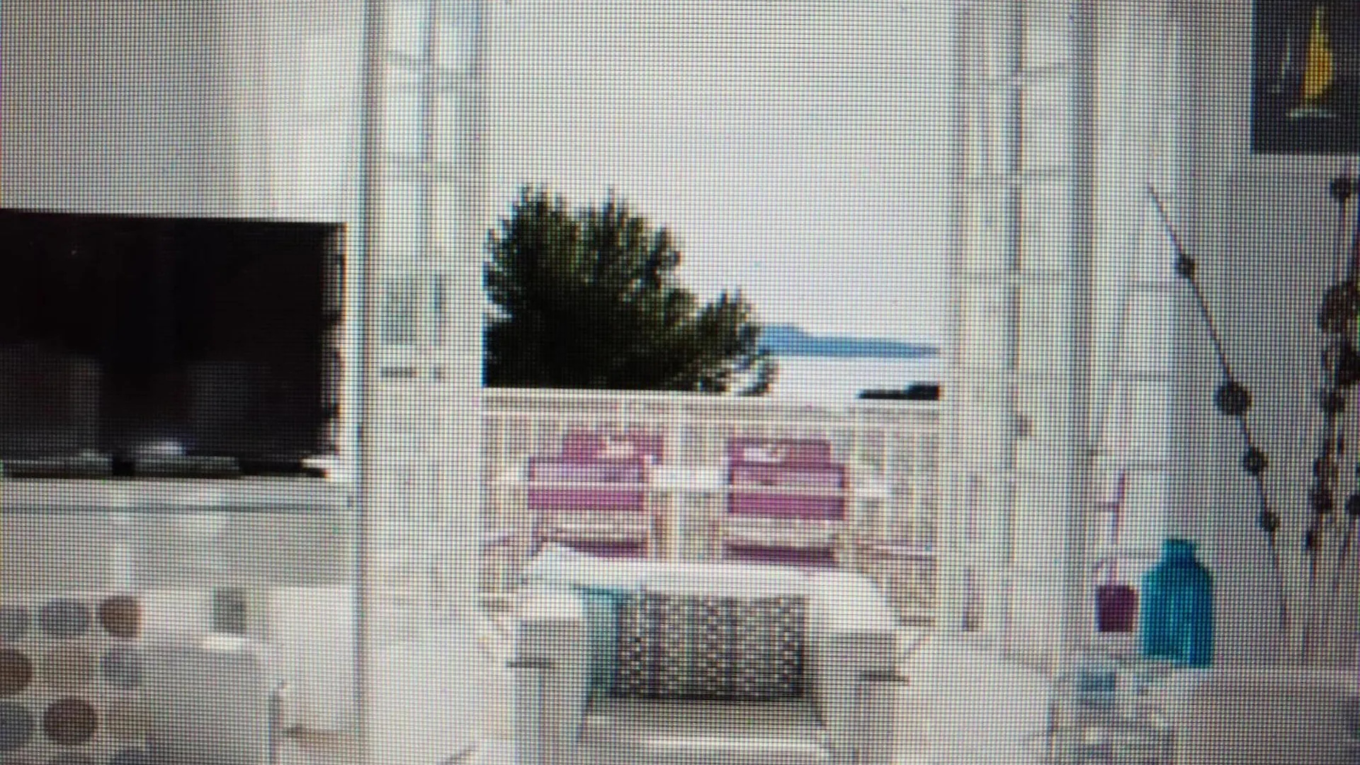 Appartement 110 M2 Vue Mer Environnement Exceptionnel Hyeres Apartment